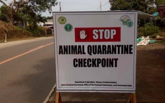Aklan mayors urged to enhance security vs African swine fever