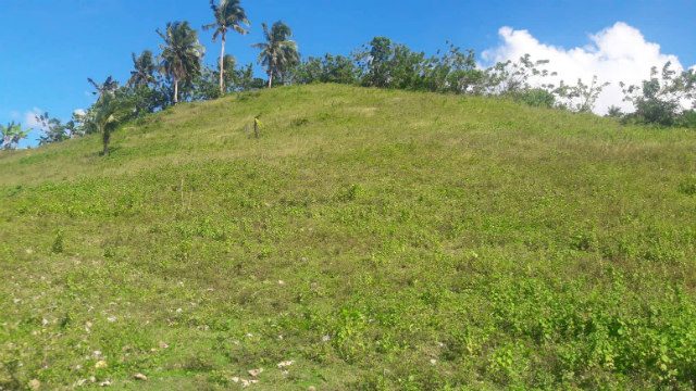 Capiz residents to plant one million trees in one day