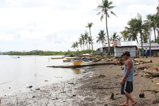 ‘Wrong’ mangrove rehab in Yolanda areas wasting funds