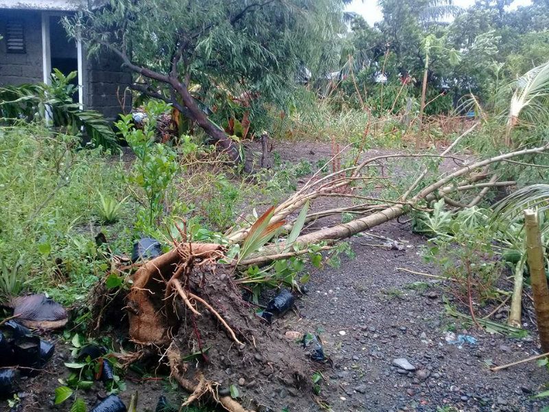 Tropical Storm Jolina affects 2,000 people