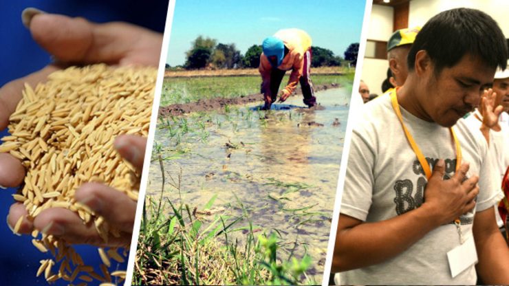 Hunger wRap: Faces of PH agriculture