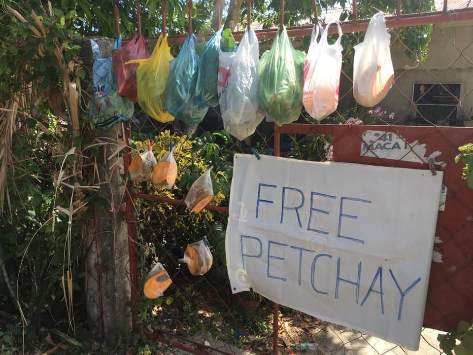 ‘Pechay for free’: Family in CamSur takes up gardening to help neighbors