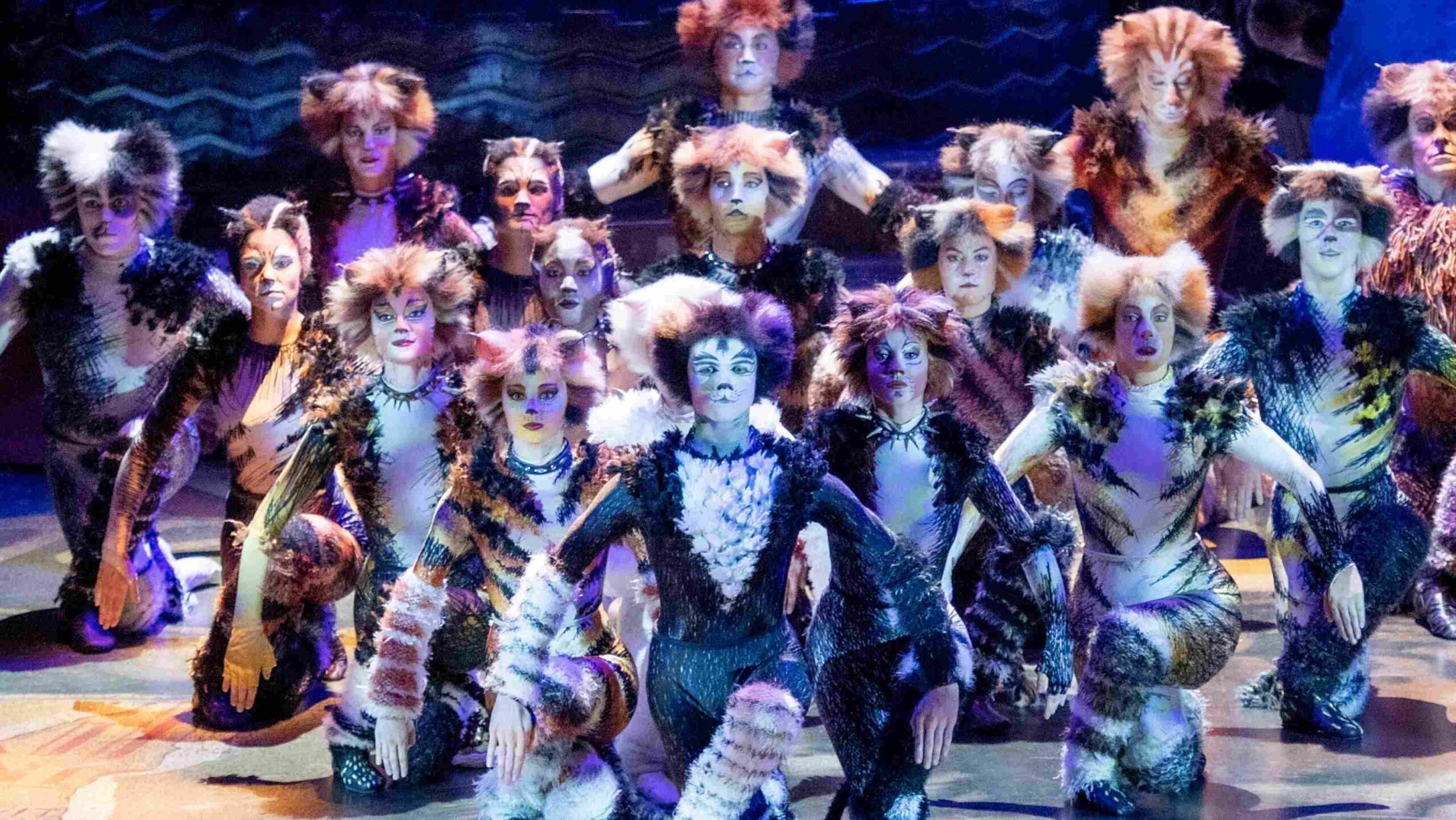 Andrew Lloyd Webber’s ‘Cats’ is streaming for free