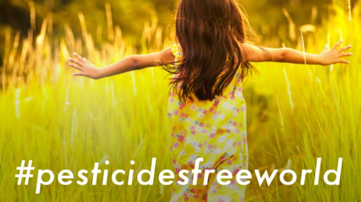 Is a #pesticidesfreeworld for children possible?