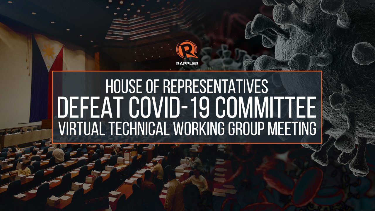 LIVE: House committee for COVID-19 virtual meeting