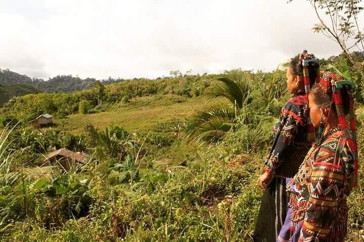 Anti-poverty chief calls to stop mining operations in Lumad lands