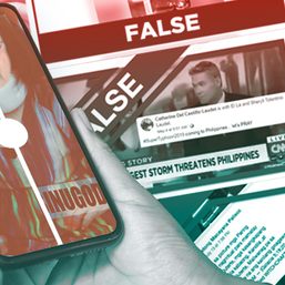 Year in review: The types of lies we debunked in 2019