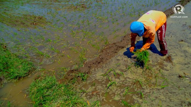 Climate change may lead to more malnutrition – UN
