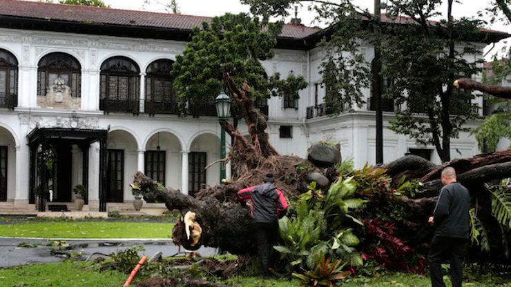 #GlendaPH winds knock down Malacañang’s century-old tree