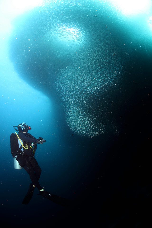 9 foto PH bawah laut yang indah