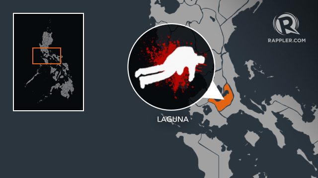 1 killed, 130 arrested in Laguna one-day, anti-crime drive