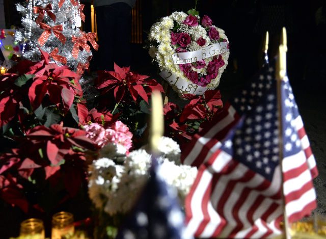 California shooter’s visa request was missing key information – Politician