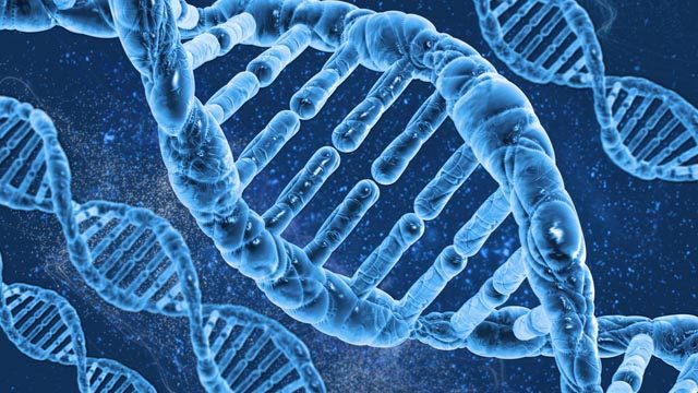 UK first country to legally offer ‘3-parent’ gene therapy