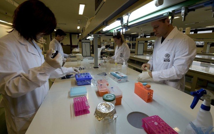 University professor Julieta Nafissi (L) and students work in their scientists projects at the biotechnology lab of the UADE (Universidad Argentina de la Empresa) in Buenos Aires on September 23, 2014. Juan Mabromata/AFP