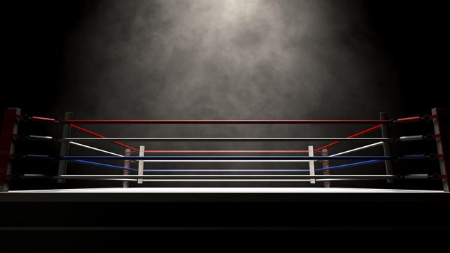 Ex-world kickboxing champion Dridi shot dead