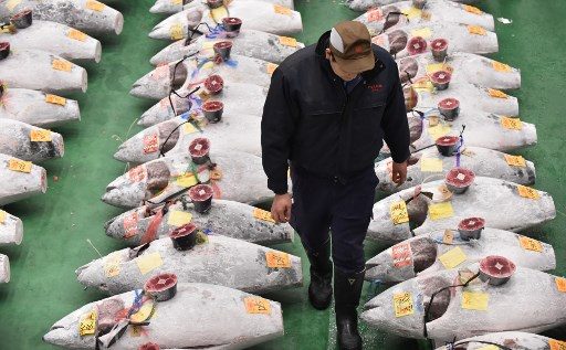 Record $3.1 million paid in New Year’s tuna auction at Japan’s new market