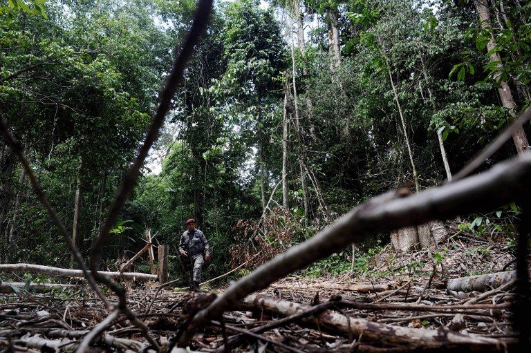 FORESTS IN DANGER. Deforestation, one contributor to climate change, is driven by consumer demand for timber products or by conversion of forest lands to agricultural lands. File photo by Lunae Parracho/AFP 
