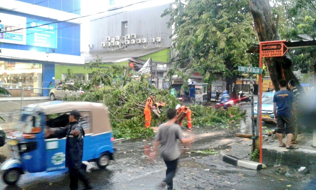 Jakarta sore ini, dari pohon tumbang hingga hujan es