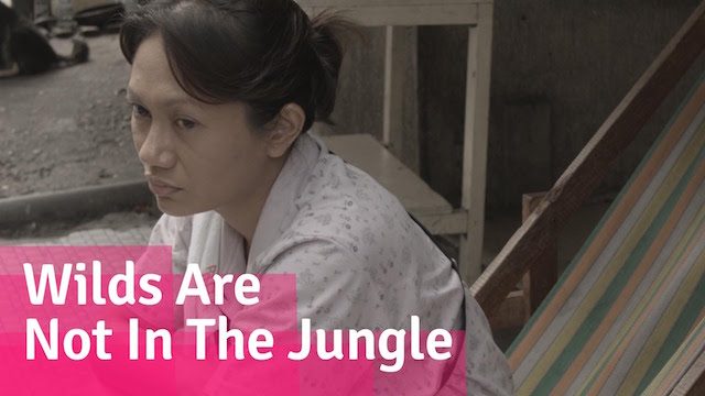 SHORT FILM: Wilds Are Not In The Jungle