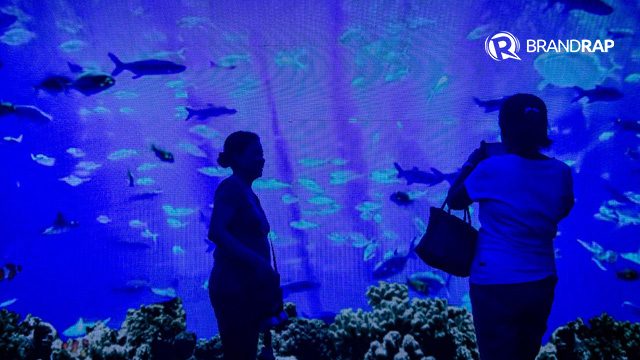 UNDERSEA. Visitors of the Under the Sea Christmas Experience can get a glimpse of life underwater through its Instagrammable LED display. Photo by LeAnne Lazul/Rappler 