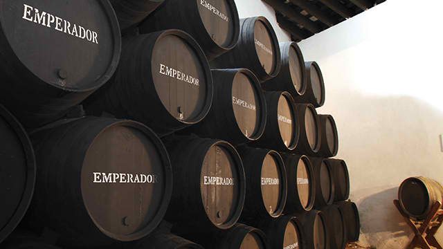 Emperador buying Pernod Ricard’s Domecq brandy and sherry