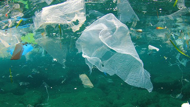 Single-use plastics, still the environment’s number 1 enemy