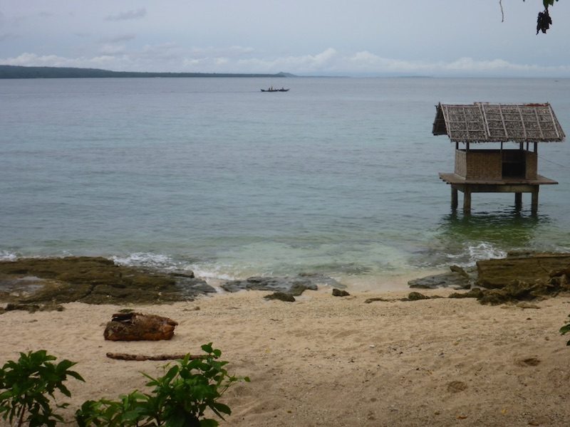 CLIMATE RESILIENT. Barangay Cawit is home to a 5-hectare marine sanctuary with a wide expanse of seagrass beds.  