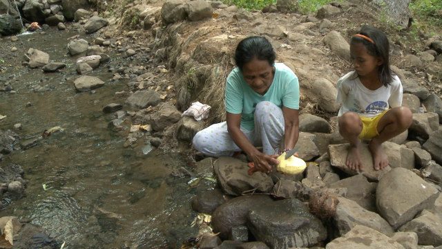 PROCESS. Marita Dioma washes kayos (Dioscorea hispida) or wild yam in a stream at Brgy. Cabangbangan, President Roxas, North Cotabato. “Kayos” is often resorted to as an emergency food in times of drought. Locals, especially indigenous Manobos, know how to process this root crop. 