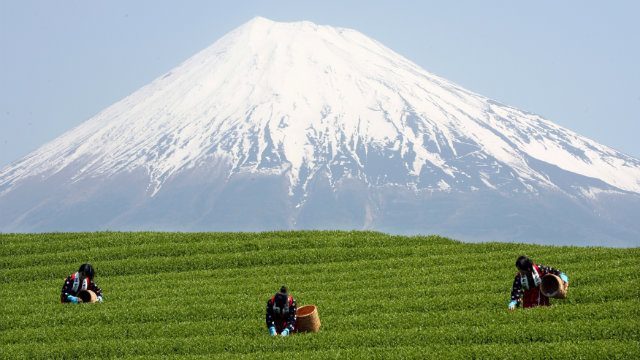 4,000 take part in Mount Fuji eruption drill