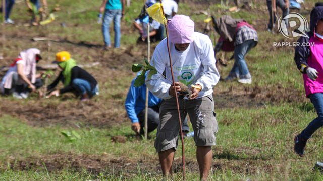 Mindanao sets new world record for most trees planted