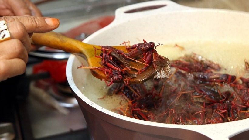 Locusts boiled, baked, or dried? Kuwait serves up insect delicacy