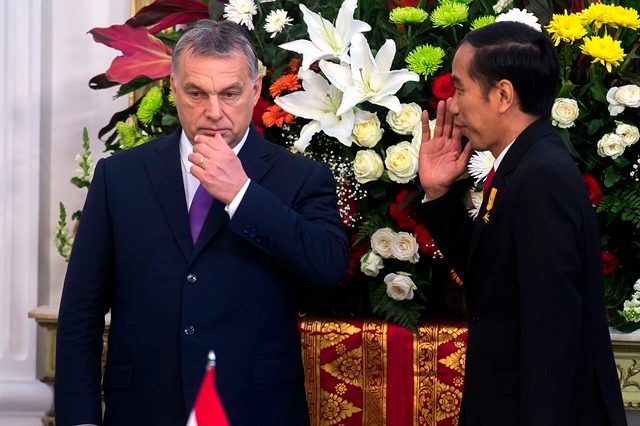 Tiga bidang investasi yang ditawarkan Jokowi kepada Hongaria