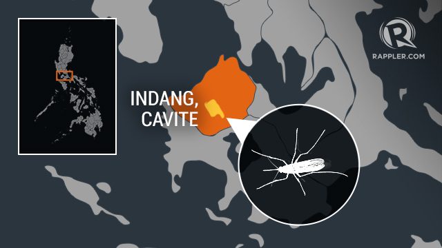 Chikungunya outbreak declared in Cavite town