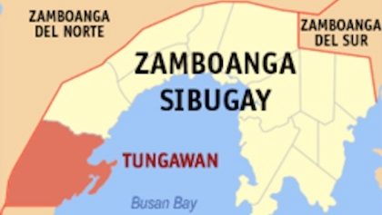 Zamboanga Sibugay mayor killed in ambush