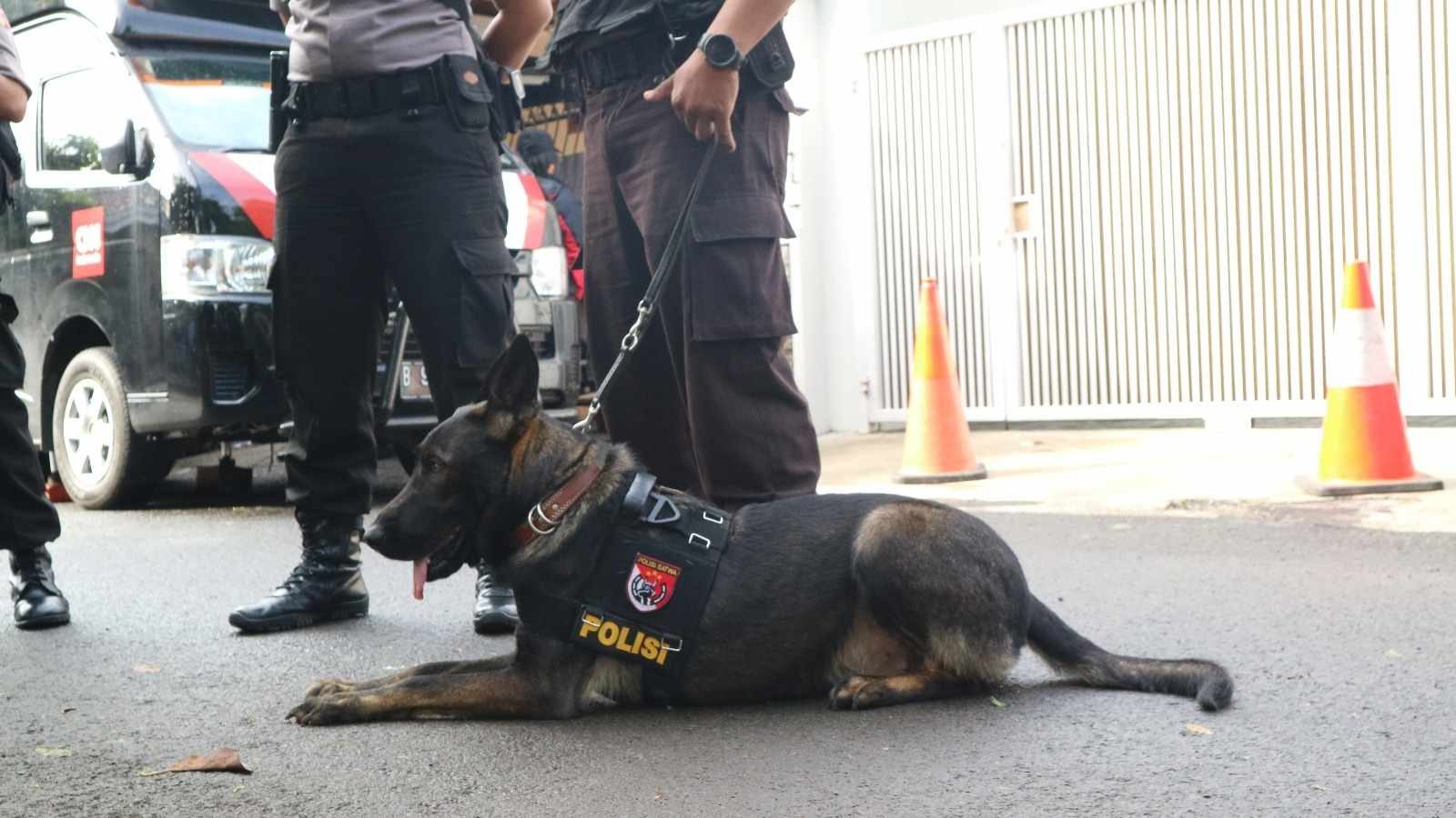 Polri tak hanya menurunkan personel polisi untuk mengamankan Pilkada DKI, tapi juga angjing. Foto oleh Sakinah Ummu Haniy/Rappler 