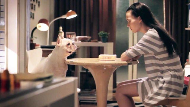 SHORT FILM: He’s A Dog In My House