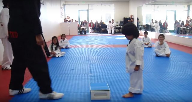 Webhits: Toddler’s Taekwondo techniques