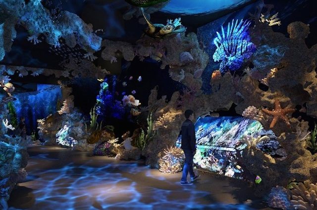 Berwisata sekaligus belajar di Jakarta Aquarium