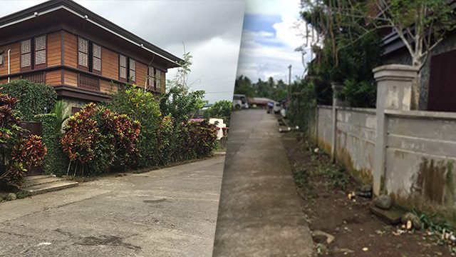 Leyte mayor slammed for mowing trees, plants in road clearing operations