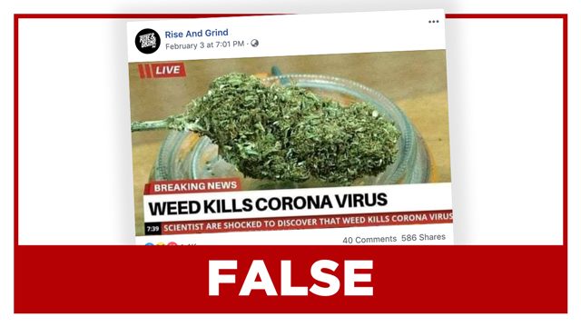 FALSE: Cannabis ‘kills coronavirus’