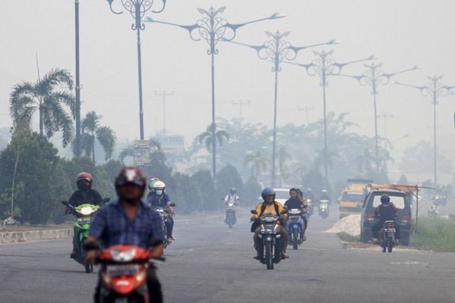 Southeast Asia sees little progress on haze as fires rage
