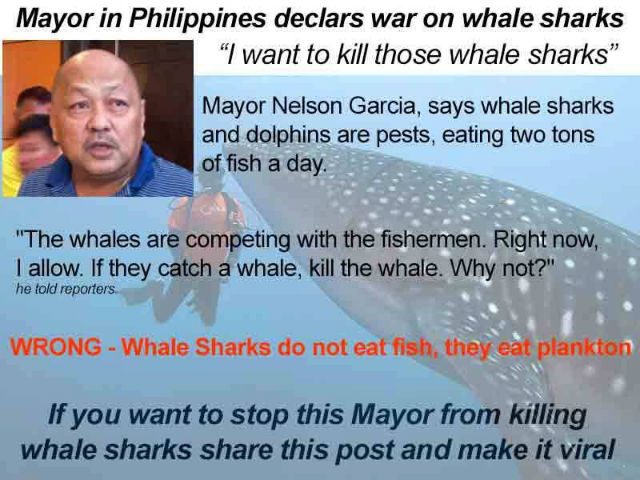 VIRAL: Does Cebu town mayor really want whale sharks killed?