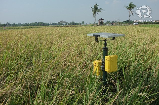 10 features of a Philippine farm of the future