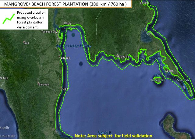 TARGET. A slide from Environment Secretary Ramon Paje's presentation on Yolanda mangrove rehabilitation shows the target is to plant 380 kilometers of coastline in Eastern Visayas with mangroves 
