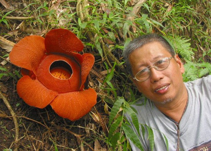4 years on, no justice for slain botanist Leonard Co