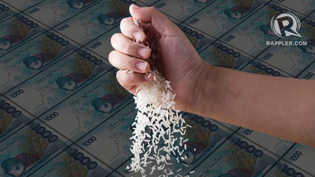 5 questions we should be asking on the rice shortage
