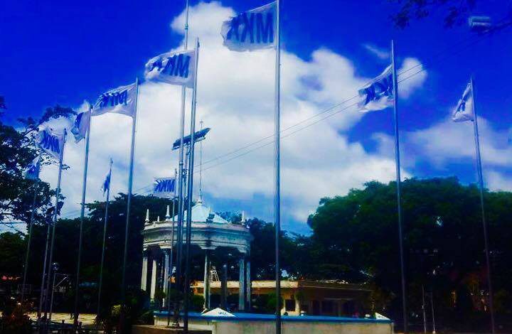 Campaign materials hang on trees, flagpoles in Bacolod
