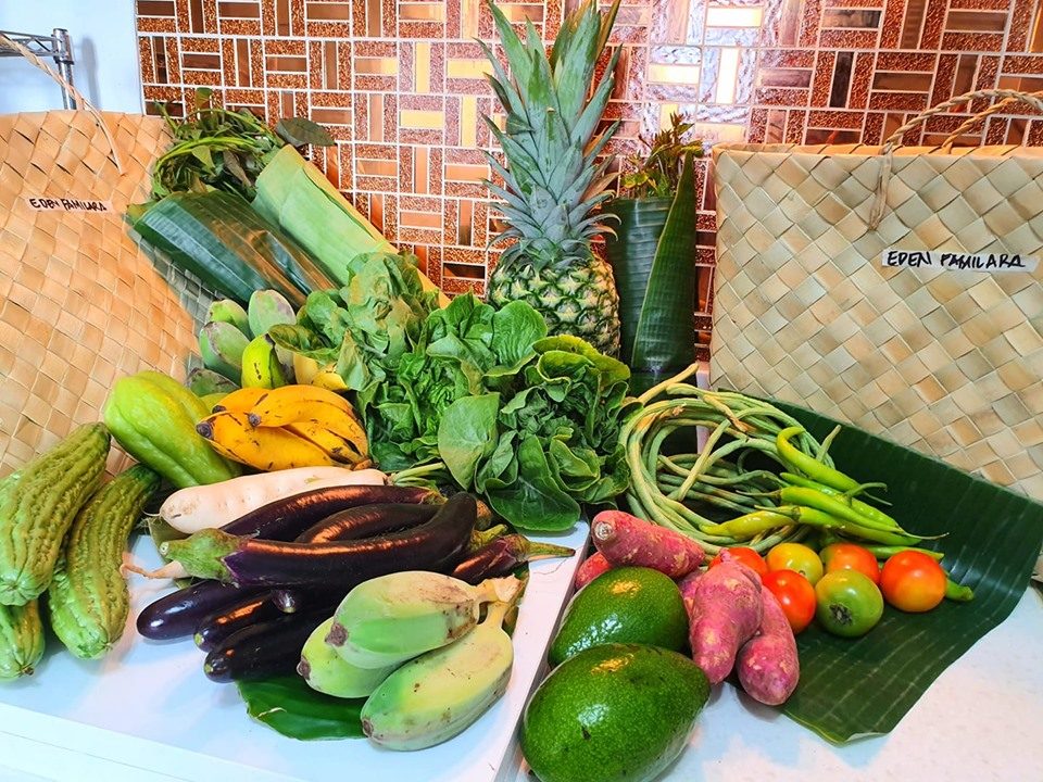 BukidFresh lets you buy fruits and vegetables directly from local farmers