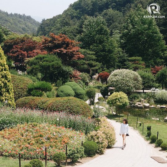 Menyusuri indahnya Garden of Morning Calm di Korea Selatan