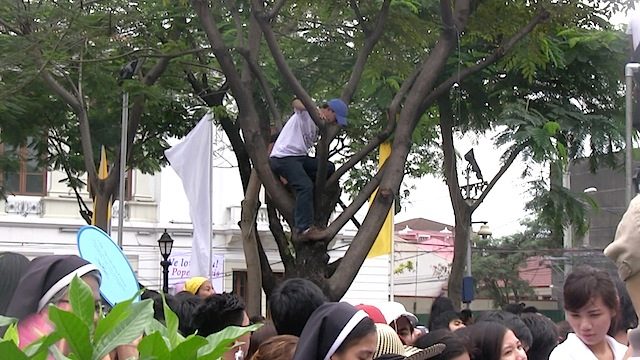 SECOND ATTEMPT: Another man gets down a tree in front of the Cathedral upon orders from security